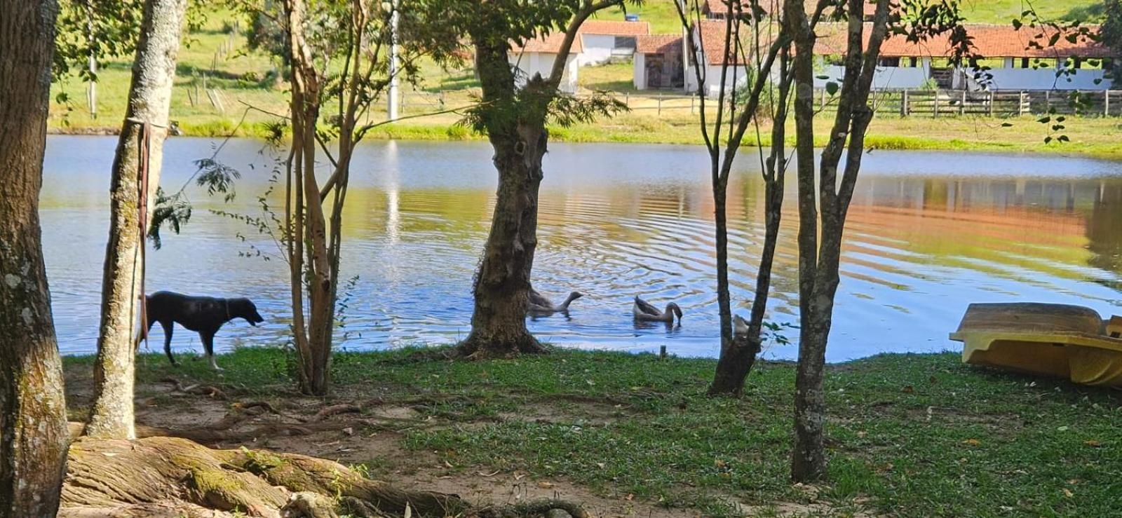 Hospedagem Fazenda Nova America Brotas Exteriér fotografie